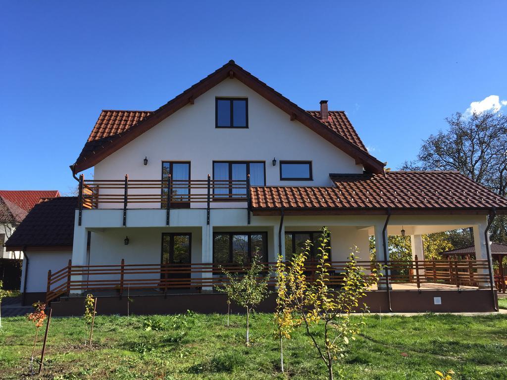 Pensiunea Tania-Nora Alexandru cel Bun Luaran gambar